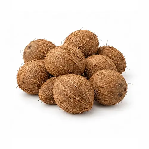 Coconut