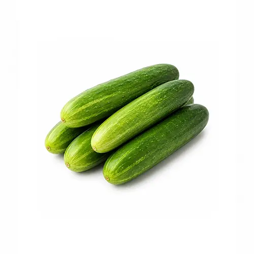 Cucumber