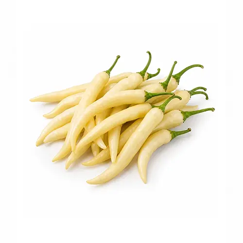 White Chilli